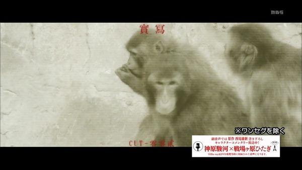 化物語 (1)