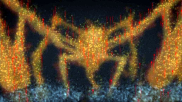 「どろろ」第7話 感想 (52)