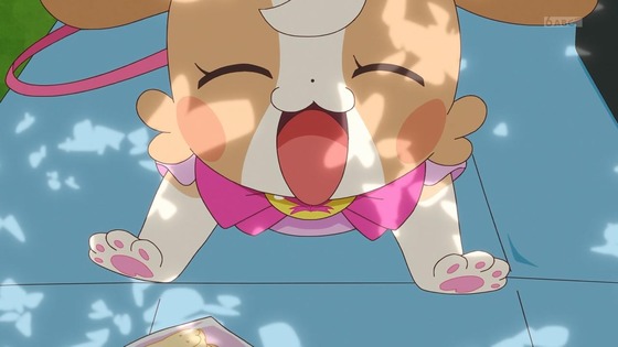 「わんだふるぷりきゅあ!」わんぷり 17話感想 (20)