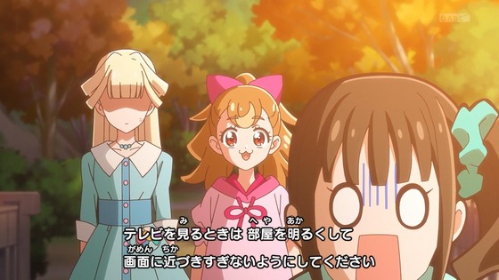 「わんだふるぷりきゅあ!」わんぷり 36話感想 (2)