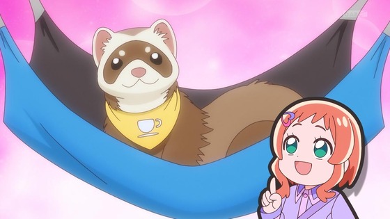「わんだふるぷりきゅあ!」わんぷり 42話感想 (10)