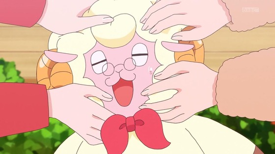 「わんだふるぷりきゅあ!」わんぷり 39話感想 (13)