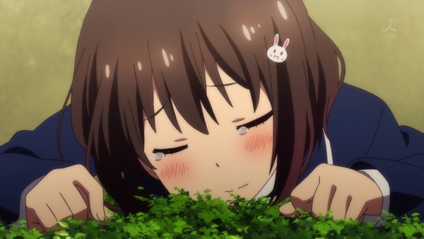 「この美術部には問題がある!」 (41)