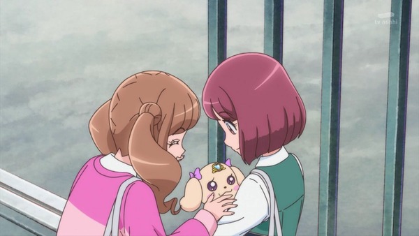 「ヒーリングっど♥プリキュア」6話感想 画像 (19)