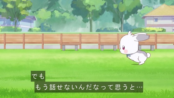 「わんだふるぷりきゅあ!」わんぷり 50話感想 (63)