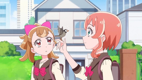 「わんだふるぷりきゅあ!」わんぷり 16話感想 (1)