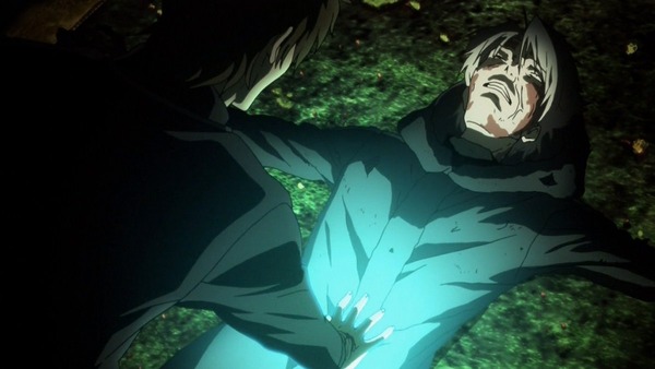 FateZero (29)
