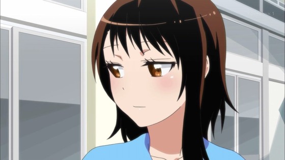 ニセコイ：(2期) (22)