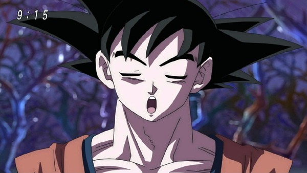 「ドラゴンボール超」 (18)