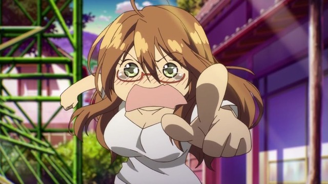 5 (13)