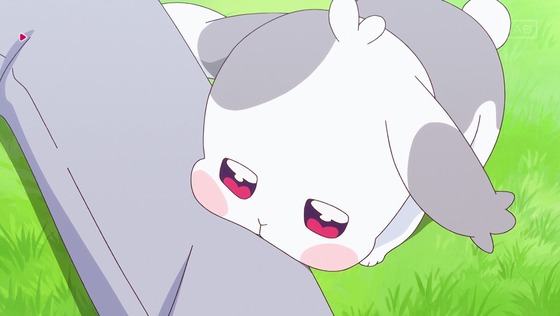 「わんだふるぷりきゅあ!」わんぷり 49話感想 (64)