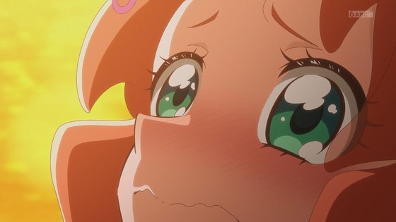 「わんだふるぷりきゅあ!」わんぷり 36話感想 (15)