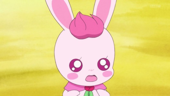 「ヒーリングっど♥プリキュア」13話感想 (20)