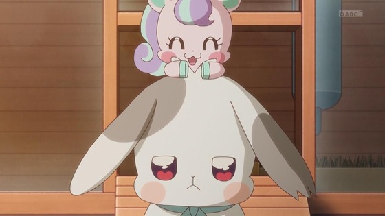 「わんだふるぷりきゅあ!」わんぷり 36話感想 (32)