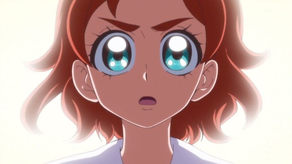 プリンセスプリキュア (8)