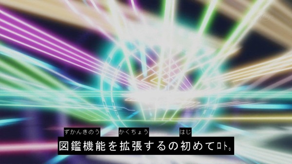 「ポケットモンスター サン&ムーン」17話 (19)
