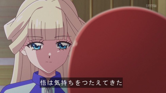 「わんだふるぷりきゅあ!」わんぷり 36話感想 (44)