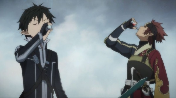 SAO (13)