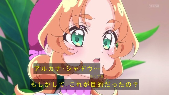 「名探偵プリキュア！」11話感想  (108)