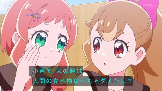 「わんだふるぷりきゅあ!」わんぷり 9話感想 (31)