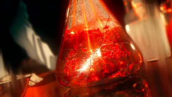 「鬼滅の刃」刀鍛冶の里編 1話感想 (37)