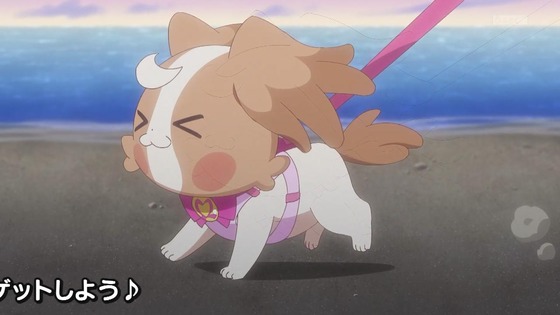 「わんだふるぷりきゅあ！」わんぷり 47話感想 (3)