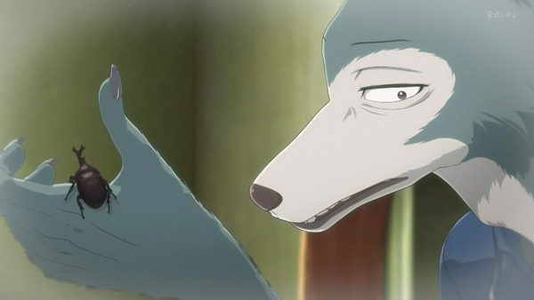 「BEASTARS ビースターズ」第11話 感想 画像 (7)