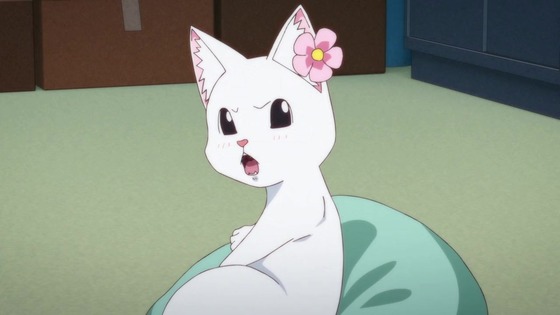 「ラーメン赤猫」5話感想 (37)