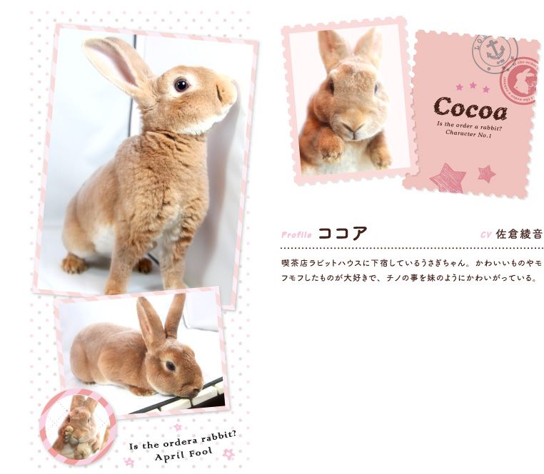 季節モノ エイプリルフール仕様のサイトネタまとめ まどマギ ごちうさ ノラガミなどなど 14年 ポンポコにゅーす ファン特化型アニメ感想サイト