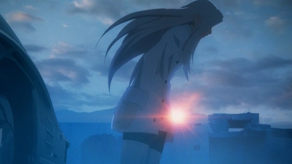 FateZero (96)