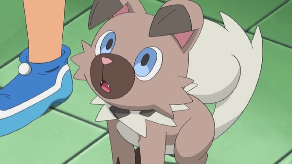「ポケットモンスター サン&ムーン」 (5)
