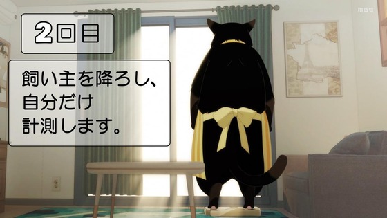 「デキる猫は今日も憂鬱」1話感想 (84)
