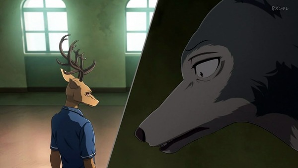 「BEASTARS」7話感想 (31)