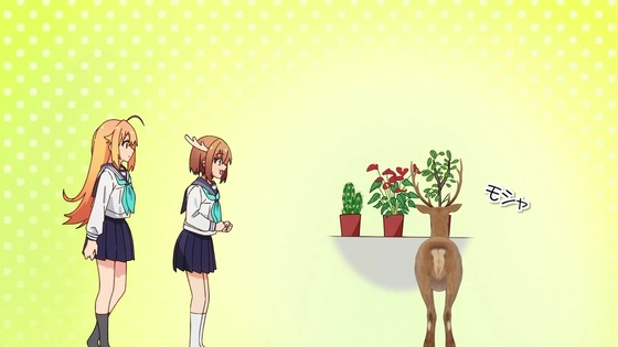 「しかのこのこのここしたんたん」4話感想 (43)