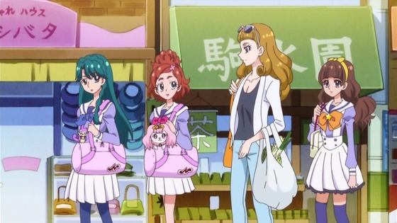 プリンセスプリキュア (29)