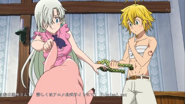 七つの大罪 (12)