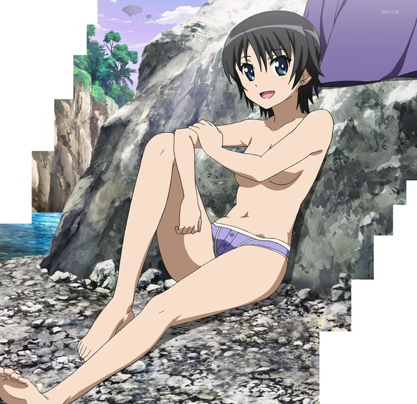 DOG DAYS (20)