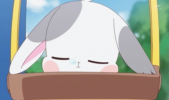 「わんだふるぷりきゅあ！」わんぷり 7話感想 (71)