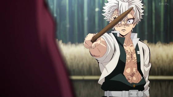「鬼滅の刃」柱稽古編 7話感想 (44)
