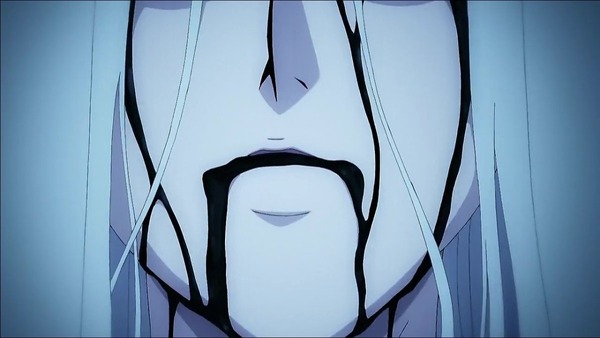 fate (24)