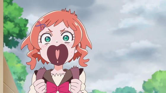 「わんだふるぷりきゅあ!」わんぷり 36話感想 (37)