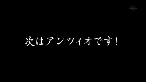 ガールズ＆パンツァー (13)