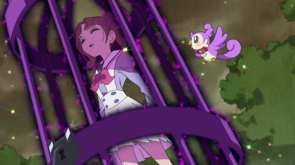 プリンセスプリキュア (63)