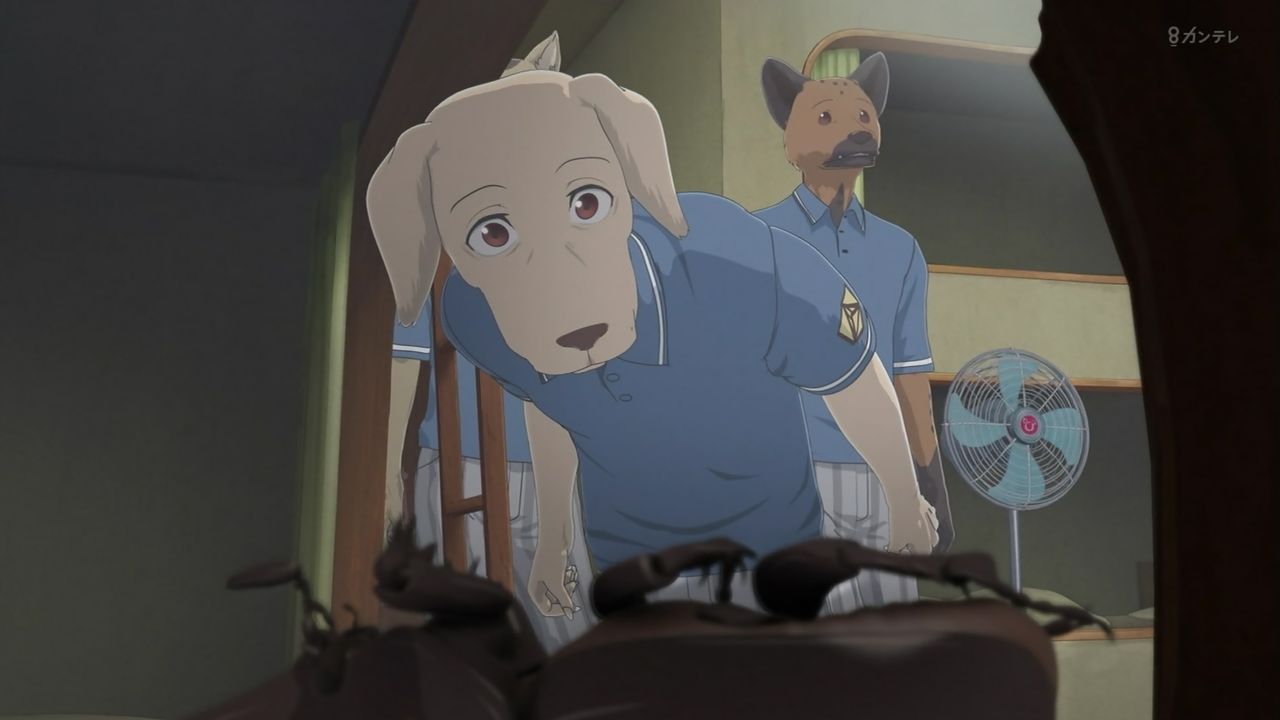Beastars ビースターズ 第11話 感想 画像 君のための爪 君のための牙だ 俺は君の獣になる ゆきゆきて 夏のネオン街 実況まとめ ポンポコにゅーす ファン特化型アニメ感想サイト Beastars ビースターズ 第11話 感想 画像 君のための爪 君のための牙だ 俺は君の獣になる ゆきゆきて 夏のネオン街 実況まとめ ポンポコにゅーす ファン特化型アニメ感想サイト