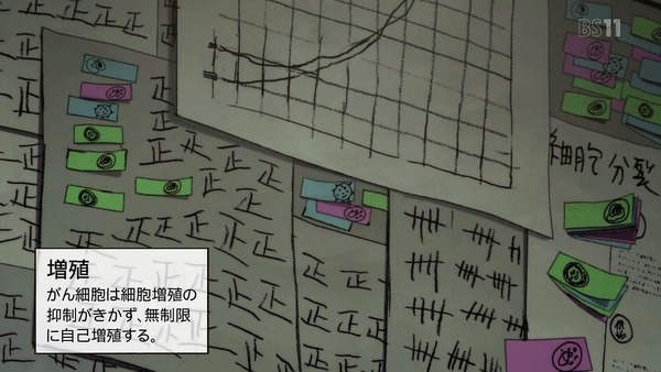 「はたらく細胞」7話感想 (17)