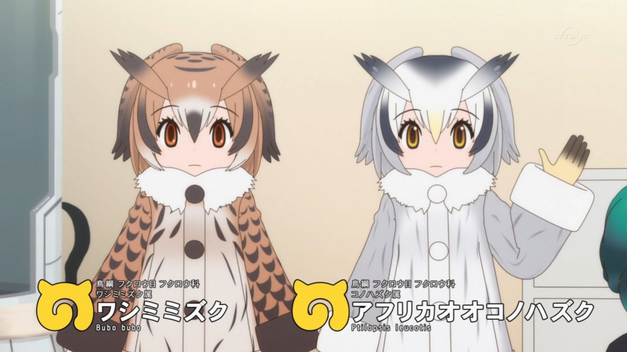 けものフレンズ2 第6話感想 立派になったかばんさんサーバルちゃん切ない再会 博士と助手も登場 海底火山とセルリアンに関係が 画像 ポンポコにゅーす ファン特化型アニメ感想サイト