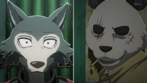 「BEASTARS」6話感想 (40)