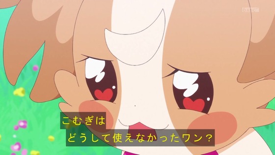 「わんだふるぷりきゅあ!」わんぷり 6話感想 (3)