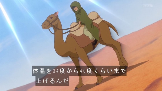 「わんだふるぷりきゅあ!」わんぷり 26話感想 (57)