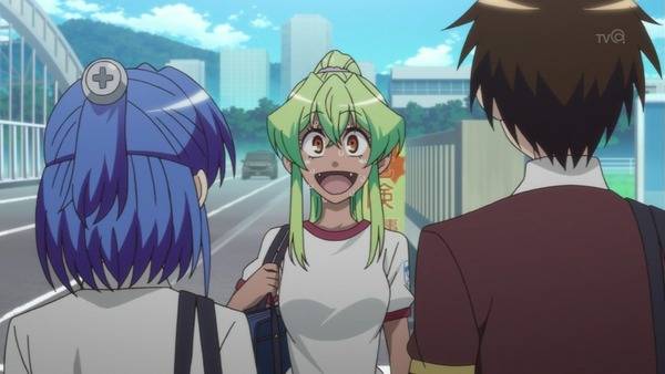 実は私は (27)
